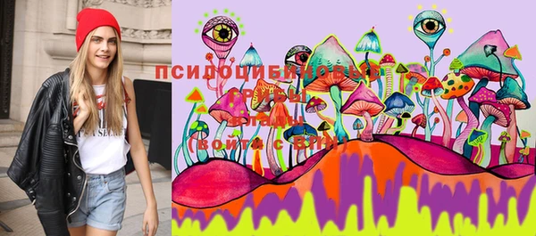 соль ск Алексин