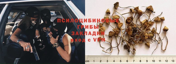 соль ск Алексин